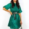 Embrace You - Emerald Leopard Print Mini Dress -Deals Modashka Store EmbraceYou EmeraldLeopardPrintMiniDress3