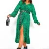 Picnic By The Pond - Green Black Zebra Midi Dress 1 Picnic By The Pond - Green Black Zebra Midi Dress -Deals Modashka Store PicnicByThePond GreenBlackZebraMidiDress 4